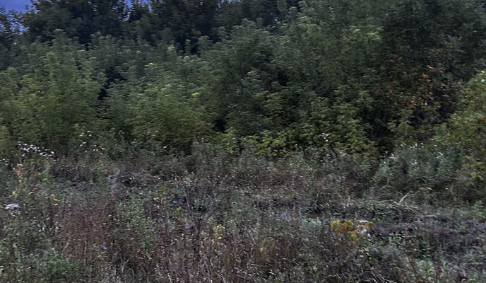 Foto 2 der Bikemap-Route "проспект Братьев Коростелёвых, Оренбург до проспект Братьев Коростелёвых, Оренбург"