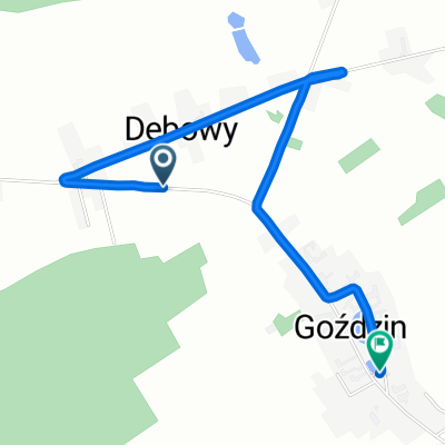 Dębowy, Rakoniewice do Goździn, Rakoniewice