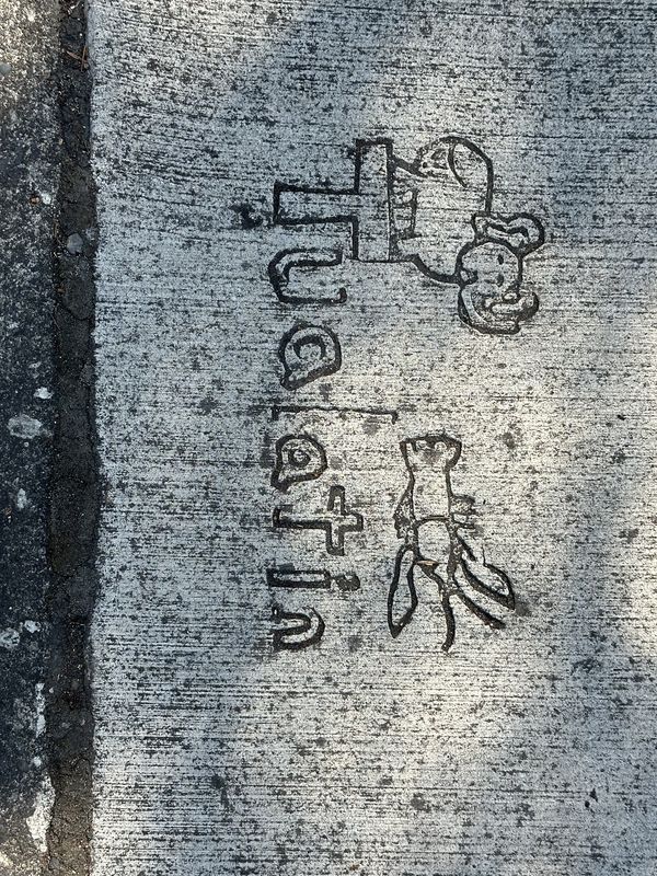 Walk with Jan in Tualatin