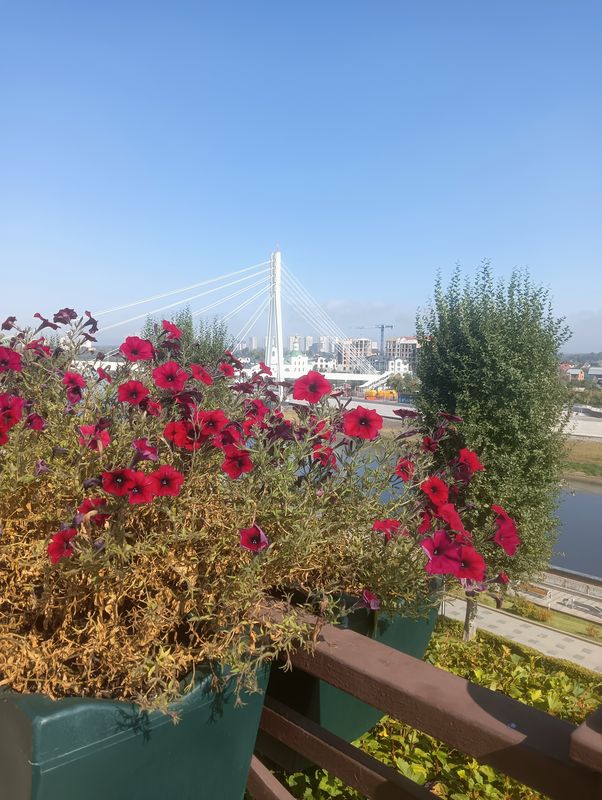 От улица Мира до улица Января