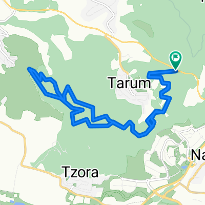 דרך הפסלים,חקר שבילים בהר תנופה