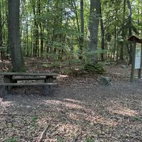 Strelitzer Straße, Feldberger Seenlandschaft nach Strelitzer Straße, Feldberger Seenlandschaft