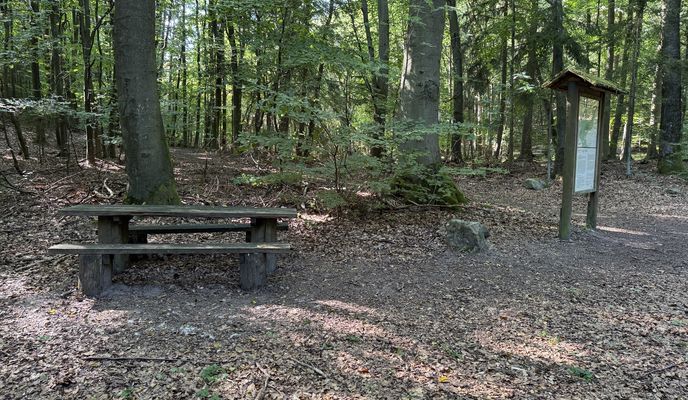 Photo 1 of the Bikemap route "Strelitzer Straße, Feldberger Seenlandschaft nach Strelitzer Straße, Feldberger Seenlandschaft"