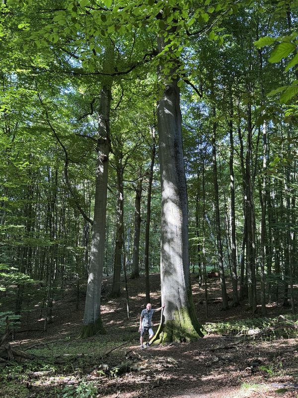 Strelitzer Straße, Feldberger Seenlandschaft nach Strelitzer Straße, Feldberger Seenlandschaft