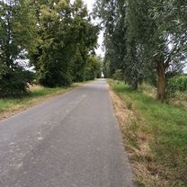 Unter den Kiefern 7a nach Unter den Kiefern 7a