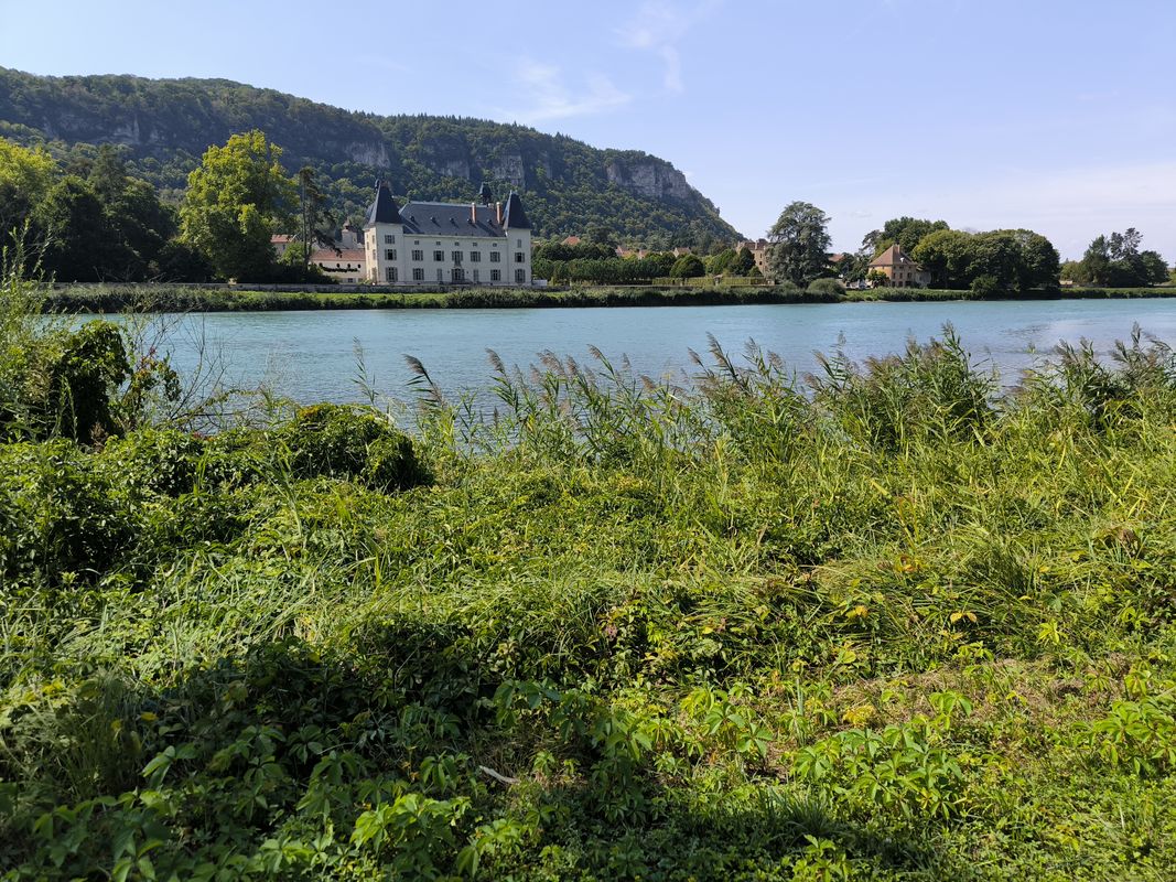 Ballee Bleue - Saint Romain-de Jalionas
