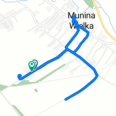 Zielona, Munina do Zielona, Munina