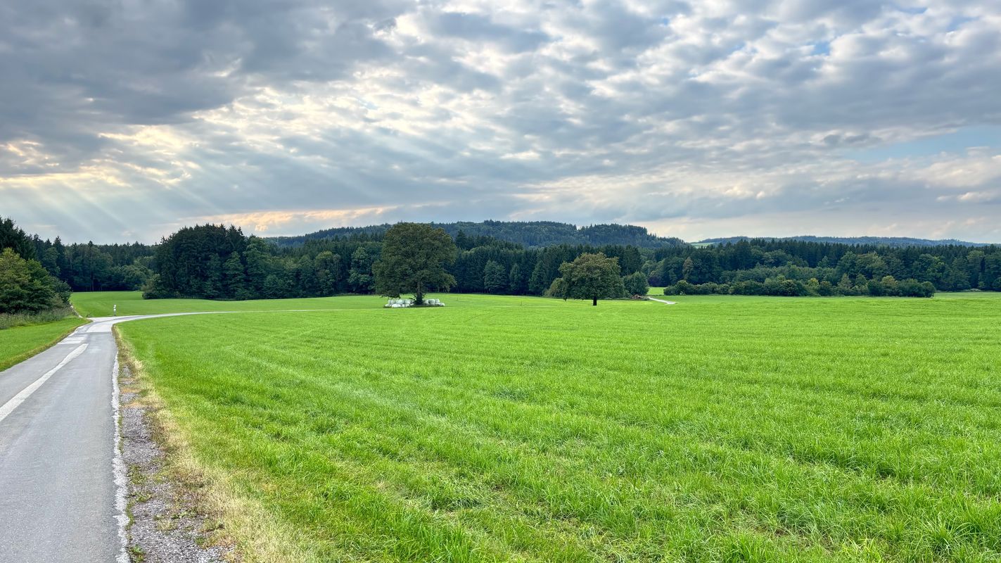 Salzburg | nördlicher Flachgau
