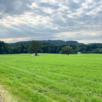 Salzburg | nördlicher Flachgau