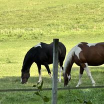 W Sylvan Dr, Mundelein to W Sylvan Dr, Mundelein