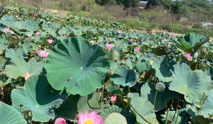 Photo 2 de l’itinéraire Bikemap « Xiahu St, Guishan District to Sanyuan St Ln 47, Taoyuan District »