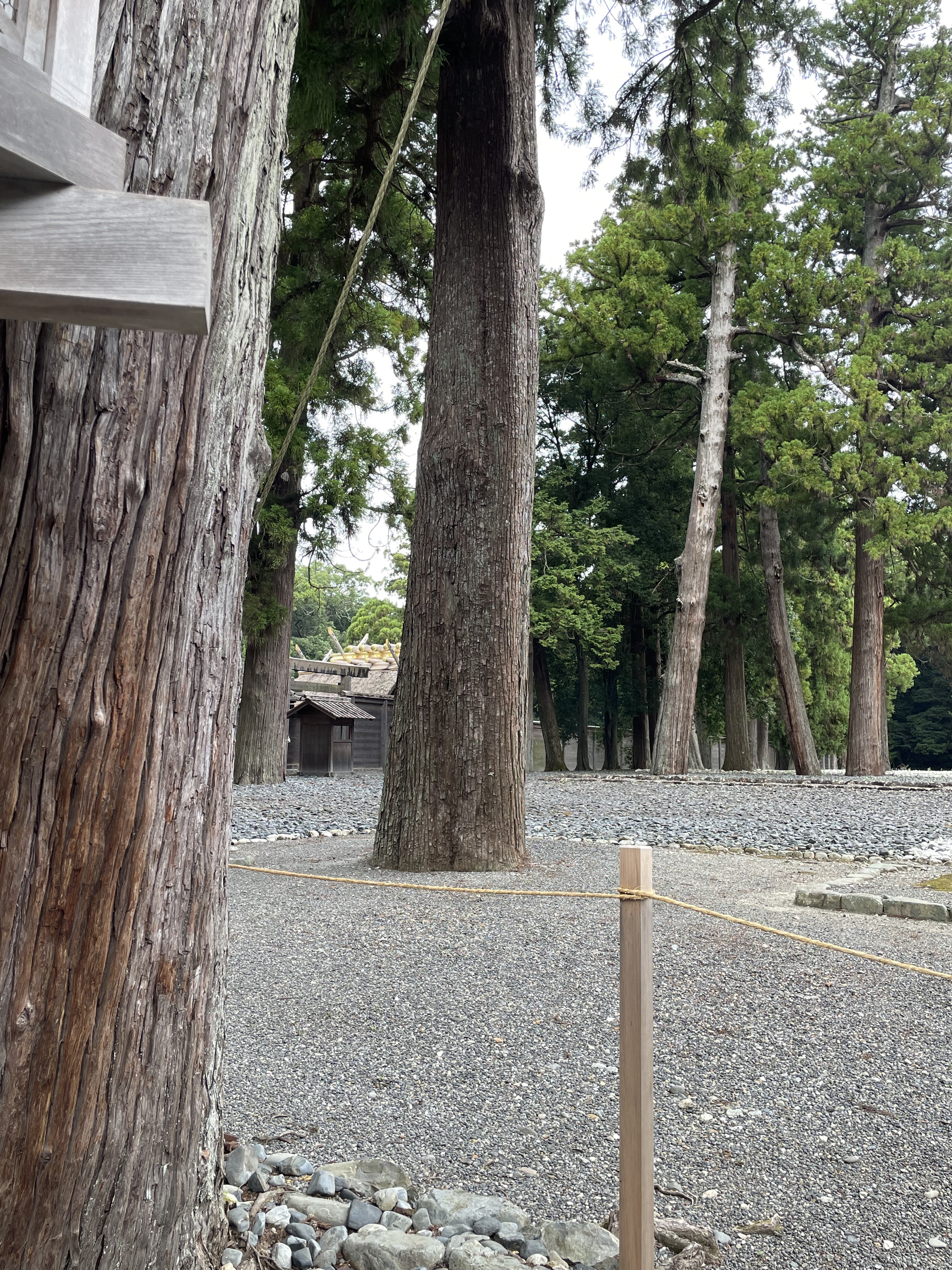 吹上1丁目, 伊勢市へ桜木町, 伊勢市