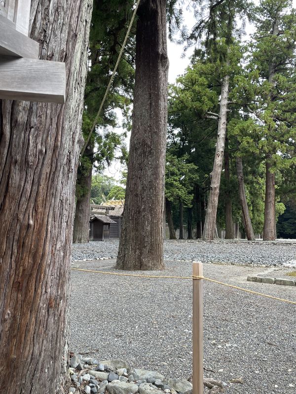 吹上1丁目, 伊勢市へ桜木町, 伊勢市