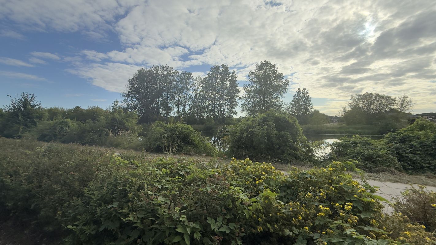 Wolska, Wola Aleksandra do Wolska, Wola Aleksandra