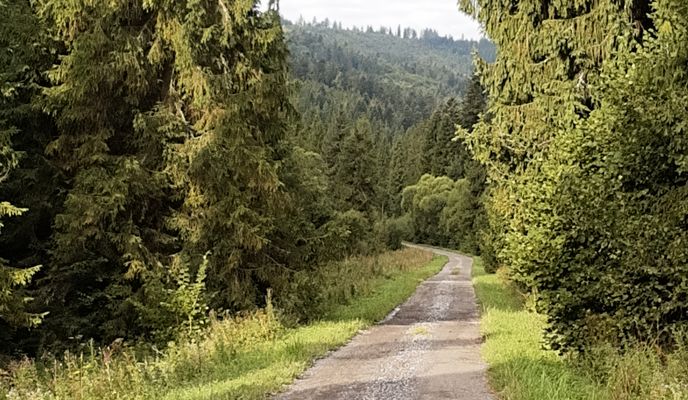 Photo 1 de l’itinéraire Bikemap « V lese. »