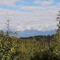 Photo 8 de l’itinéraire Bikemap « V lese. »