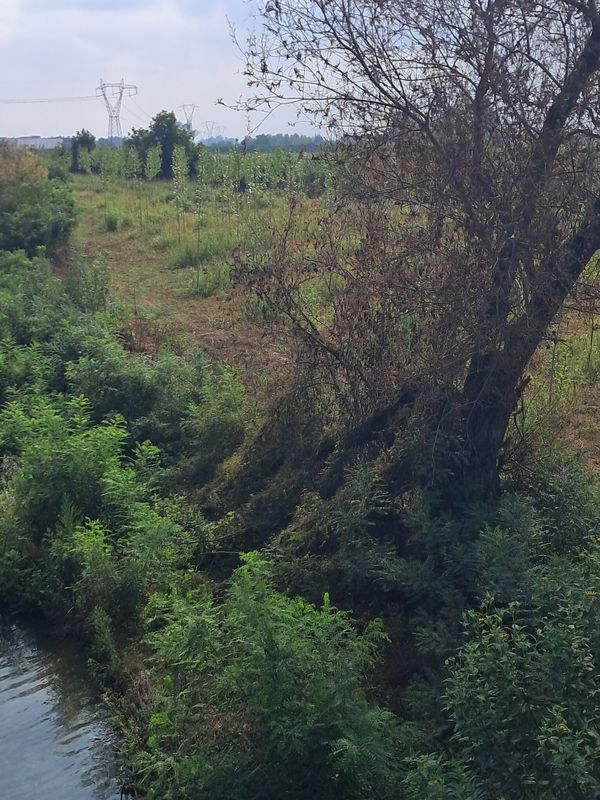 Da Via Aldo Moro a Via Aldo Moro