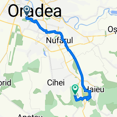 Route to Halta Băile Felix