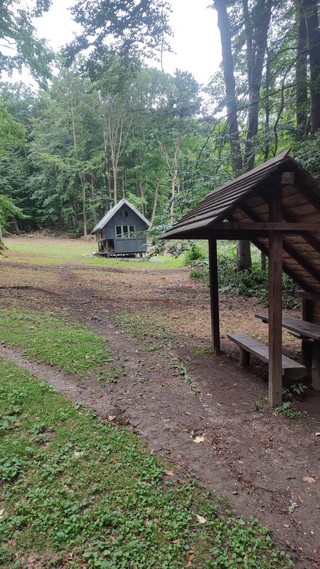 Sosnová do Sosnová