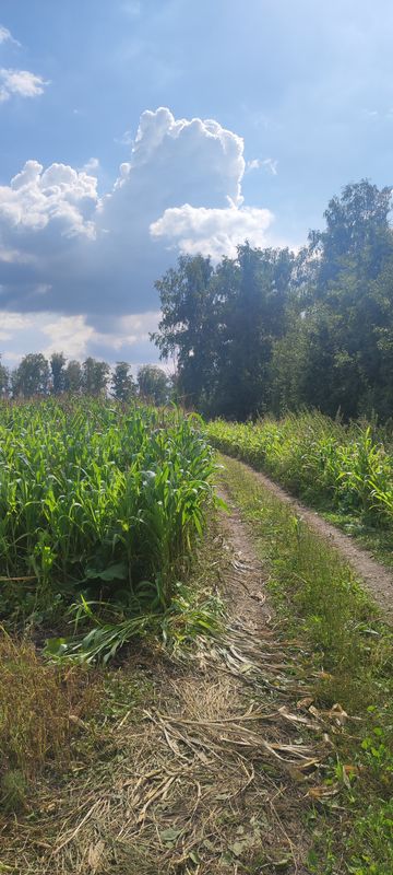 От Неизвестная Дорога до Заводская улица 31-64