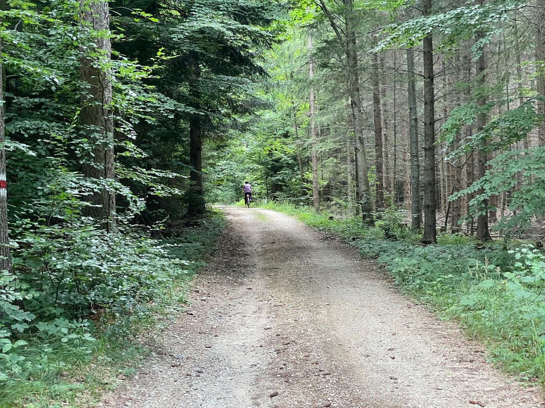 Zur Steirer Hütt'n Am Gutenmann