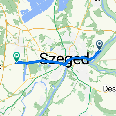 Szeged - 55-ös főút, Domaszék