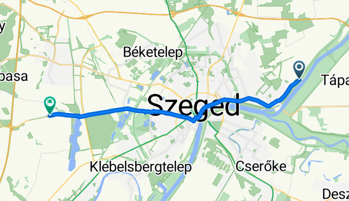 Szeged - 55-ös főút, Domaszék
