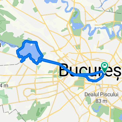 Strada Pictor Alexandru Romano to Str. Pictor Alexandro Romano