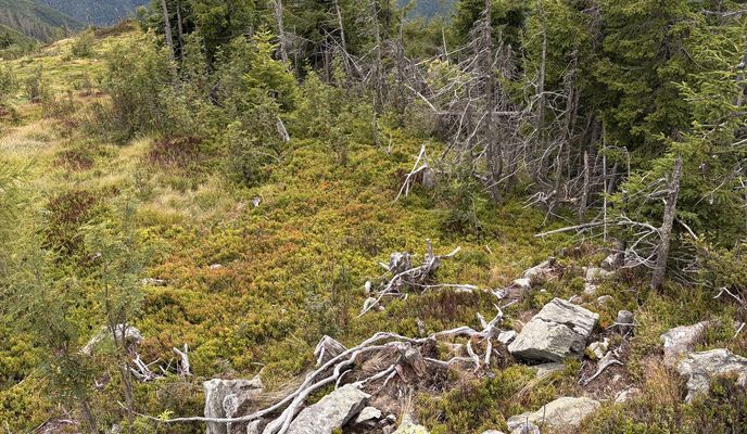 Photo 2 de l’itinéraire Bikemap « Štúrova, Polomka až Jesenského, Polomka »