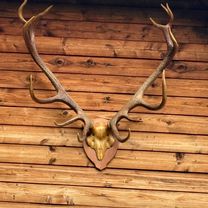 Photo 8 de l’itinéraire Bikemap « Štúrova, Polomka až Jesenského, Polomka »