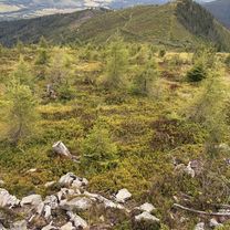 Štúrova, Polomka až Jesenského, Polomka