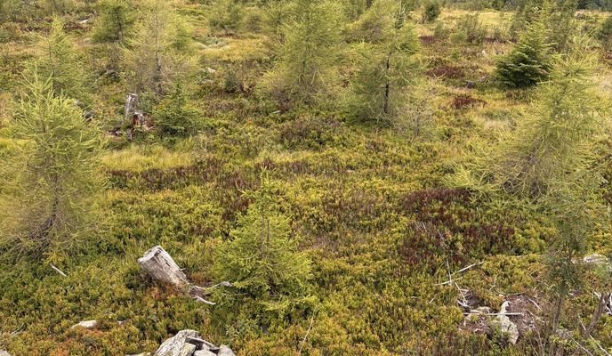 Photo 1 de l’itinéraire Bikemap « Štúrova, Polomka až Jesenského, Polomka »