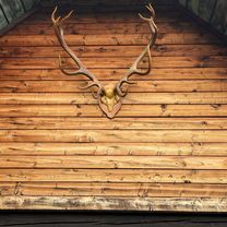 Photo 7 de l’itinéraire Bikemap « Štúrova, Polomka až Jesenského, Polomka »