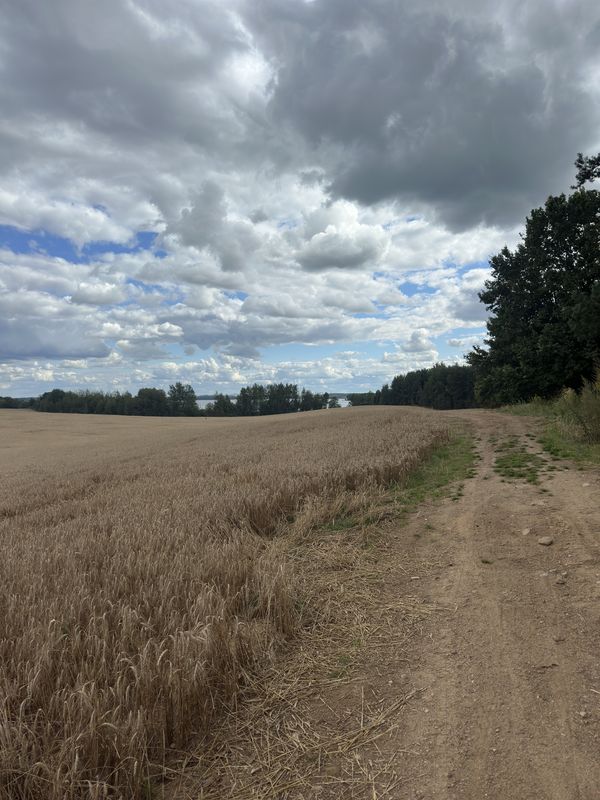 Маршрут на Вокзальная улица, Ждановичский