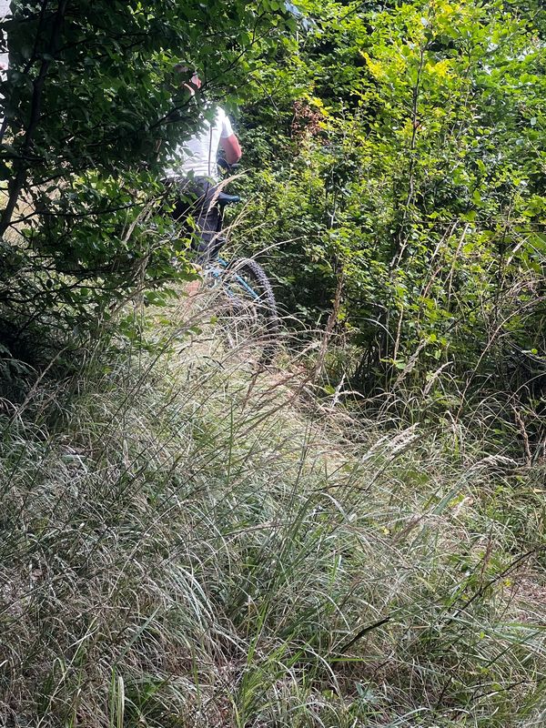 Királyréti út, Szokolya - Királyréti út, Szokolya