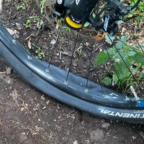 Photo 8 of the Bikemap route "Királyréti út, Szokolya - Királyréti út, Szokolya"