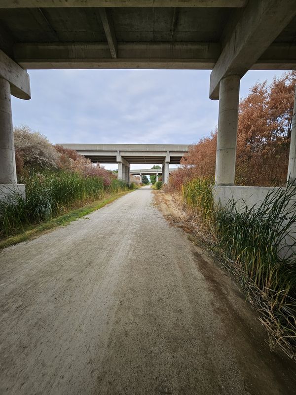 Ovid to St. Johns (Loop)