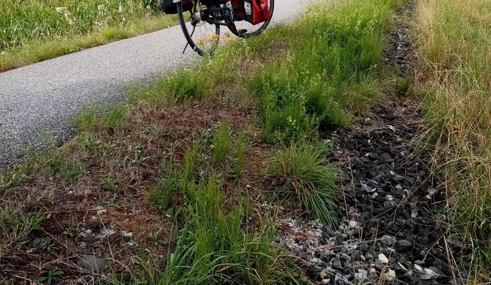 Foto 1 del percorso Bikemap "Neustadt an der Aisch Cycling"