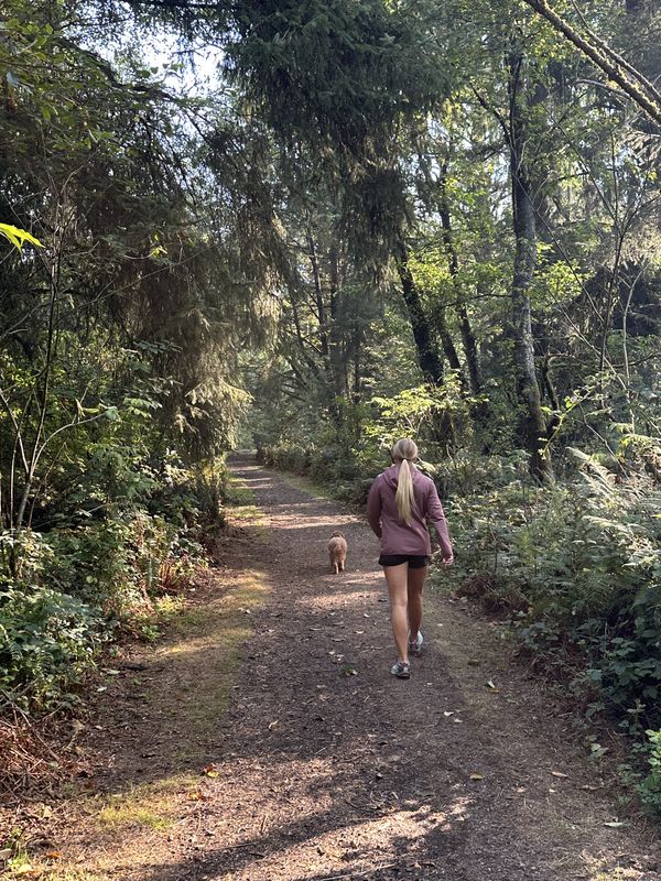 Bay City to Main St, Bay City