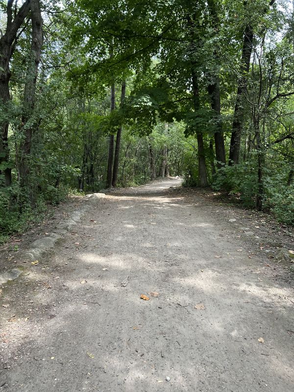 Rue Jeanne-Mance, Montréal to Rue Jeanne-Mance, Montréal