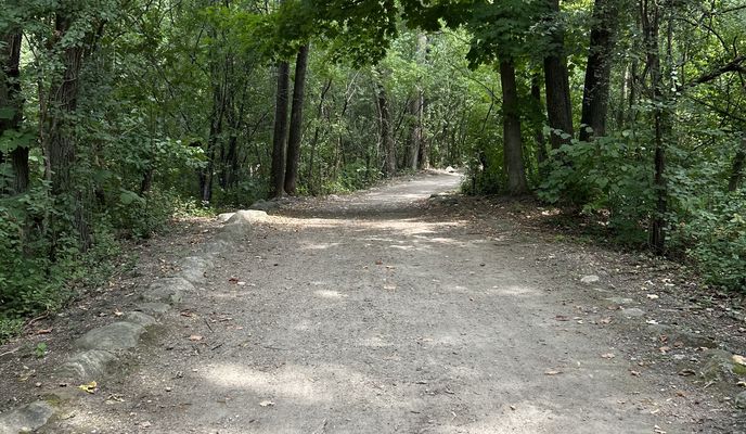 Photo 2 of the Bikemap route "Rue Jeanne-Mance, Montréal to Rue Jeanne-Mance, Montréal"