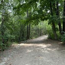 Rue Jeanne-Mance, Montréal to Rue Jeanne-Mance, Montréal