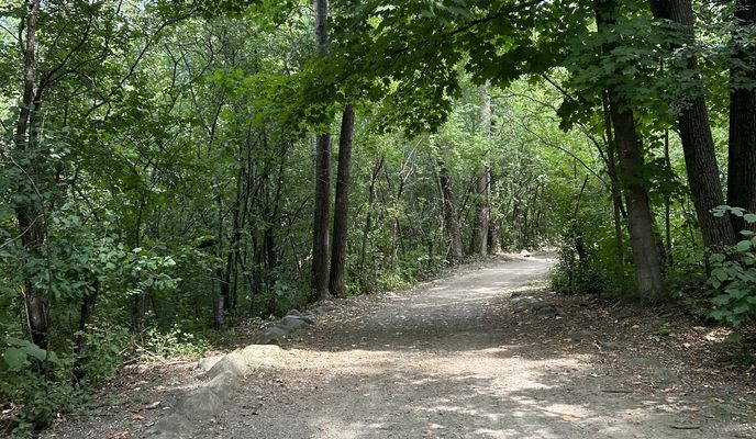 Photo 1 of the Bikemap route "Rue Jeanne-Mance, Montréal to Rue Jeanne-Mance, Montréal"
