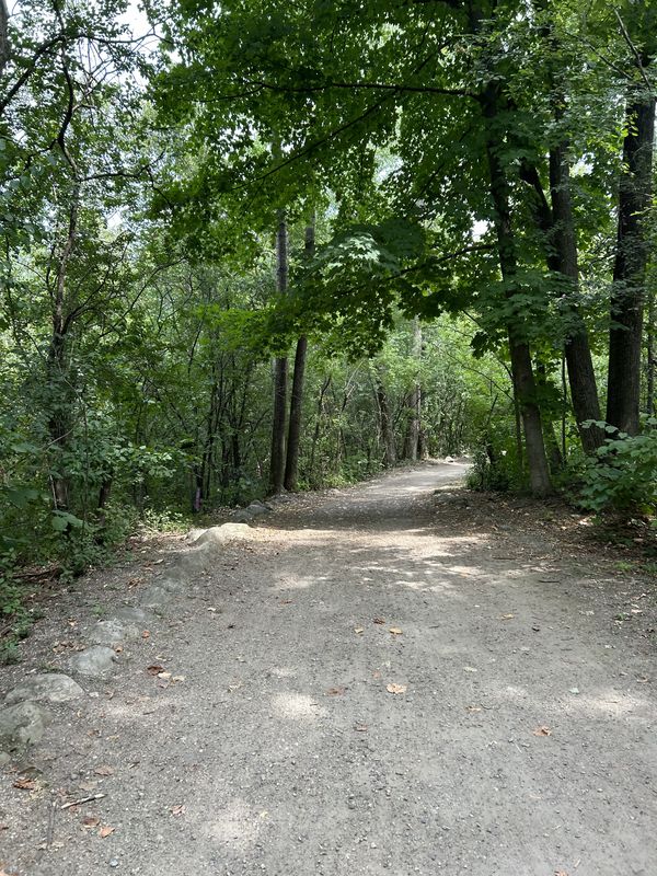 Rue Jeanne-Mance, Montréal to Rue Jeanne-Mance, Montréal