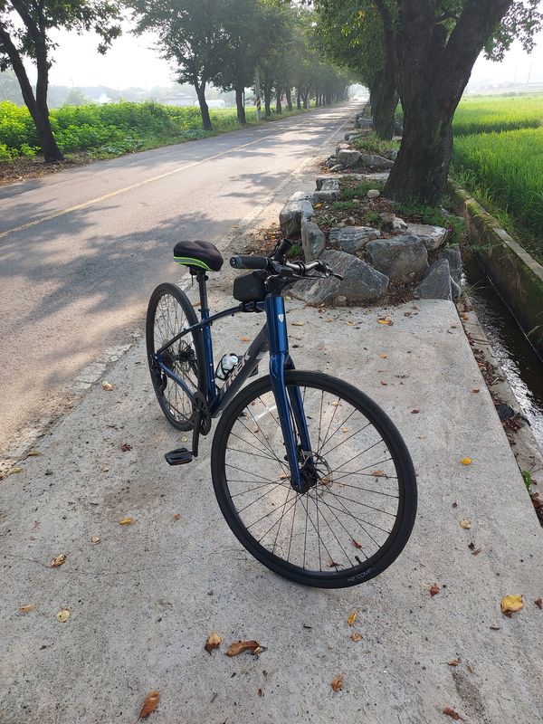 구지면 1178-3 ~ 구지면 13-4