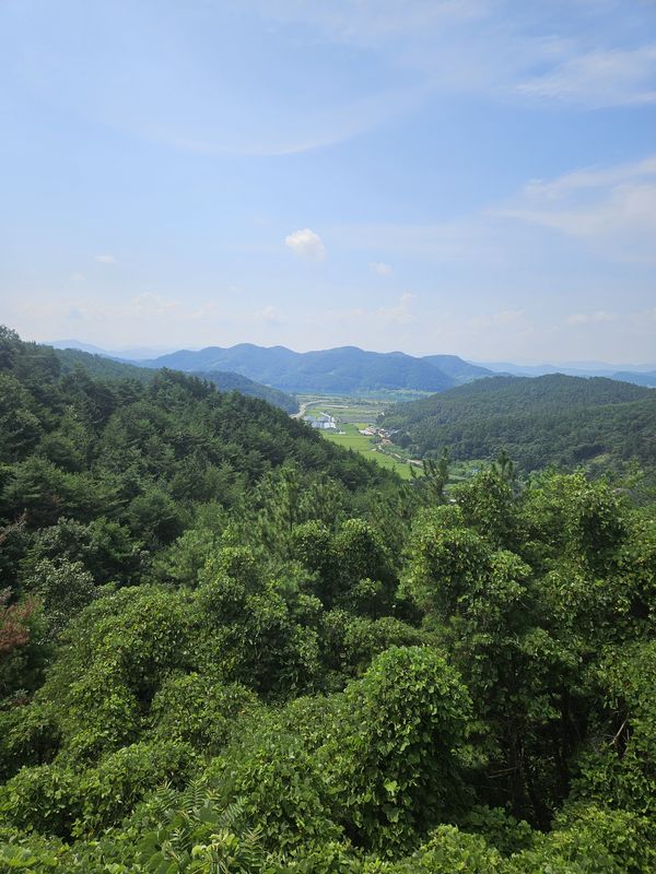 2025.8.23 9시15~13.15분 창녕함안보 ㅡ합천창녕보
