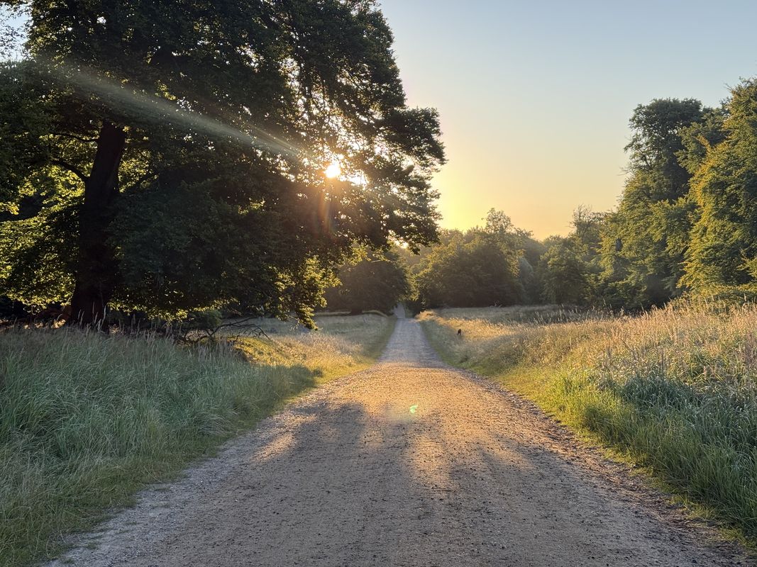 Digterparken, Ballerup to Strandvejen, Klampenborg