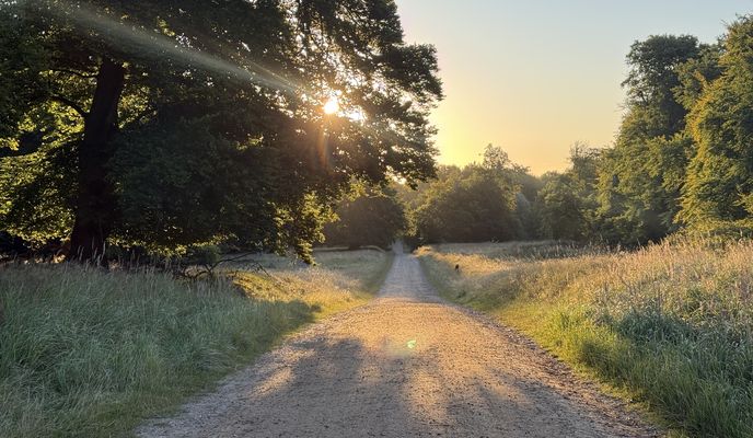Zdjęcie 2 trasy Bikemap „Digterparken, Ballerup to Strandvejen, Klampenborg”