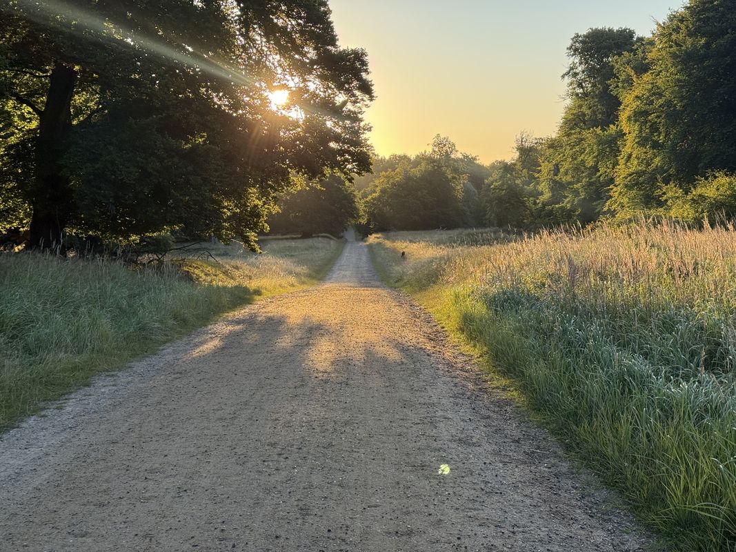 Digterparken, Ballerup to Strandvejen, Klampenborg