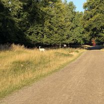 Strandvejen, Klampenborg to Digterparken, Ballerup